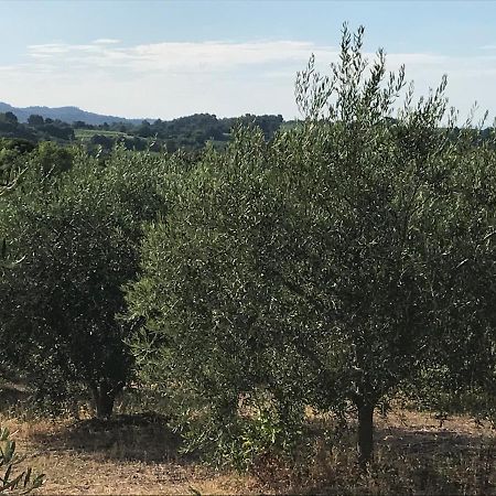 Gite Au Coeur Du Pays Cathare Verzeille Eksteriør bilde